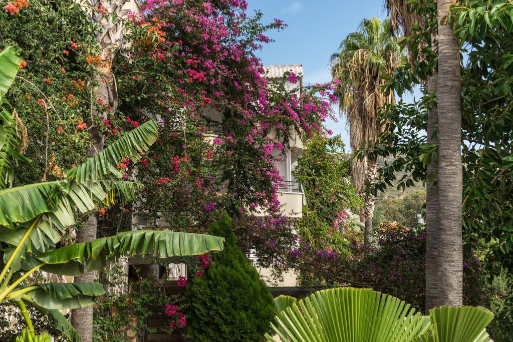 Pataros Hotel Patara Ngoại thất bức ảnh