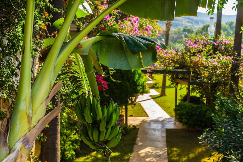 Pataros Hotel Patara Ngoại thất bức ảnh