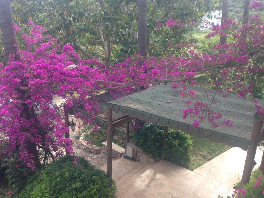 Pataros Hotel Patara Ngoại thất bức ảnh