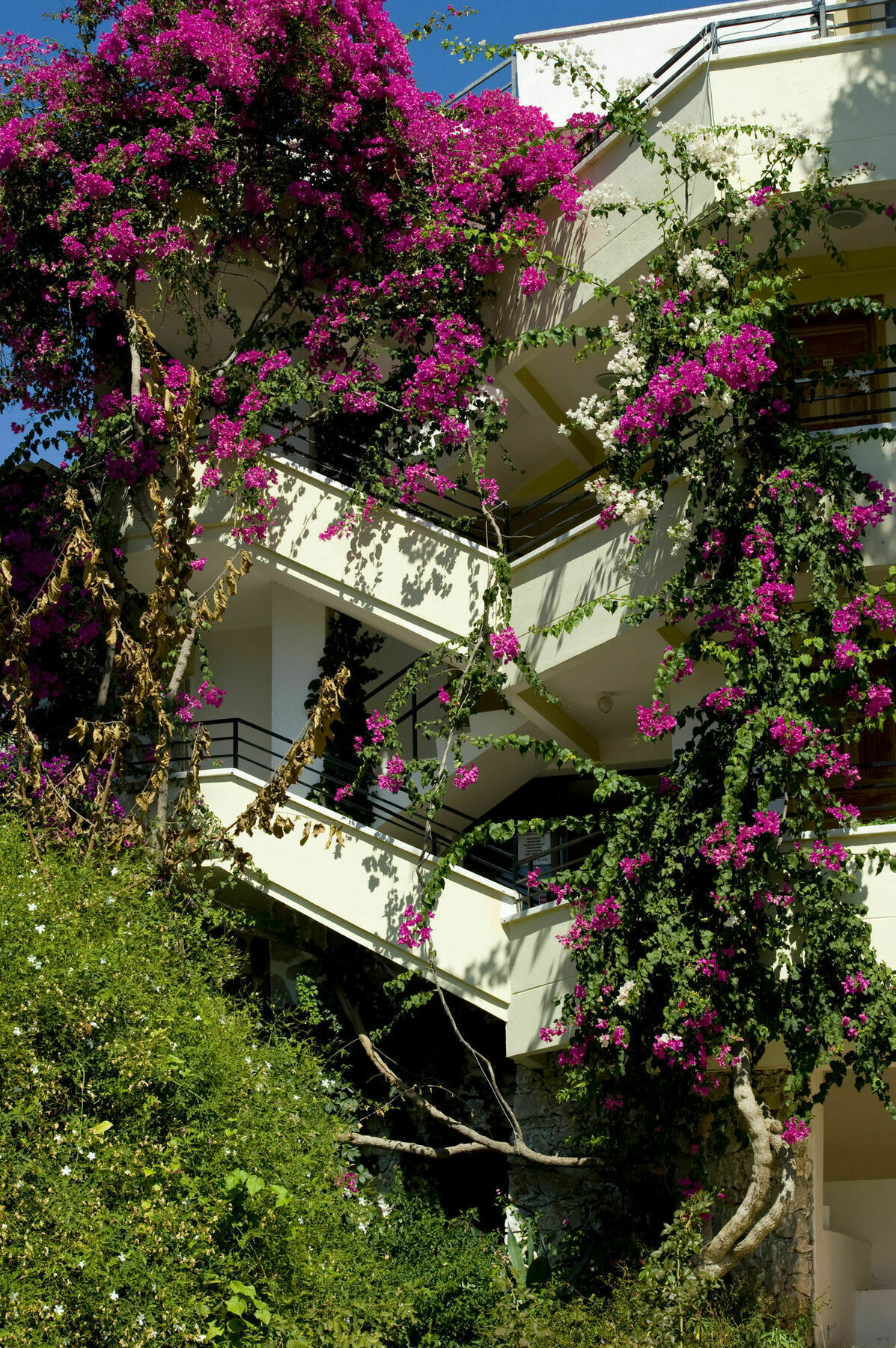 Pataros Hotel Patara Ngoại thất bức ảnh